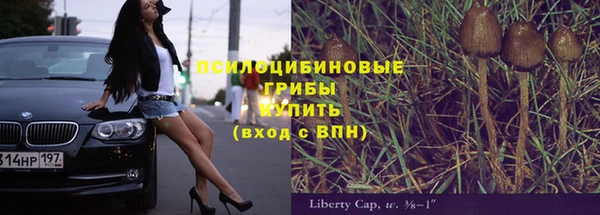 прущие грибы Нязепетровск